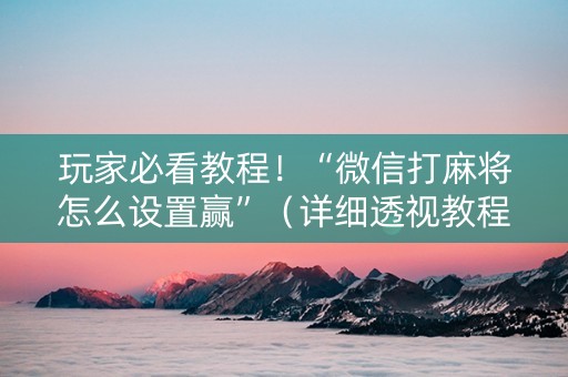 玩家必看教程！“微信打麻将怎么设置赢”（详细透视教程）-哔哩哔哩