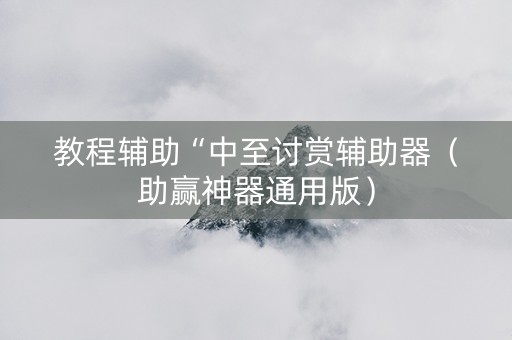 教程辅助“中至讨赏辅助器（助赢神器通用版）