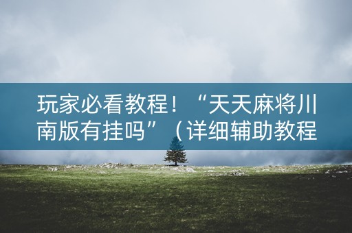 玩家必看教程！“天天麻将川南版有挂吗”（详细辅助教程）-哔哩哔哩