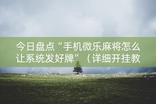 今日盘点“手机微乐麻将怎么让系统发好牌”（详细开挂教程）-哔哩哔哩