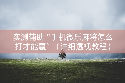 实测辅助“手机微乐麻将怎么打才能赢”（详细透视教程）-哔哩哔哩