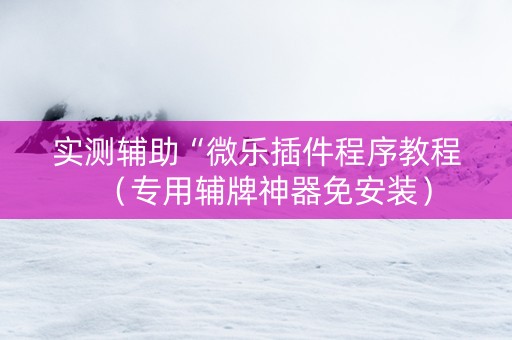 实测辅助“微乐插件程序教程（专用辅牌神器免安装）