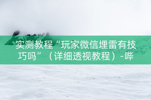 实测教程“玩家微信埋雷有技巧吗”（详细透视教程）-哔哩哔哩