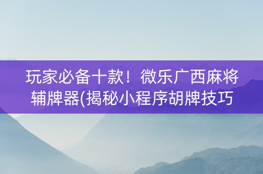 玩家必备十款！微乐广西麻将辅牌器(揭秘小程序胡牌技巧)