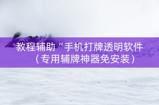 教程辅助“手机打牌透明软件（专用辅牌神器免安装）