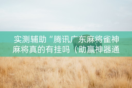 实测辅助“腾讯广东麻将雀神麻将真的有挂吗（助赢神器通用版）