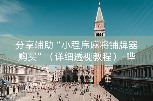 分享辅助“小程序麻将铺牌器购买”（详细透视教程）-哔哩哔哩