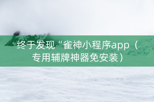 终于发现“雀神小程序app（专用辅牌神器免安装）