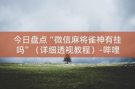 今日盘点“微信麻将雀神有挂吗”（详细透视教程）-哔哩哔哩