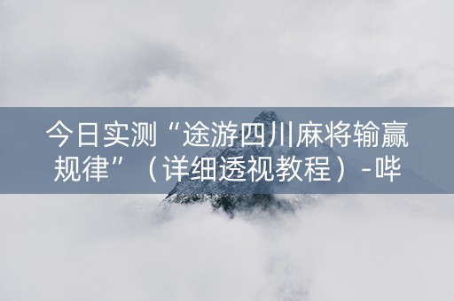 今日实测“途游四川麻将输赢规律”（详细透视教程）-哔哩哔哩