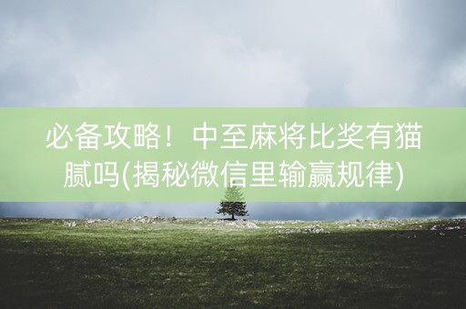 必备攻略！中至麻将比奖有猫腻吗(揭秘微信里输赢规律)