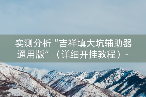 实测分析“吉祥填大坑辅助器通用版”（详细开挂教程）-哔哩哔哩