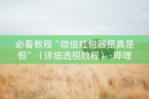 必看教程“微信红包器是真是假”（详细透视教程）-哔哩哔哩