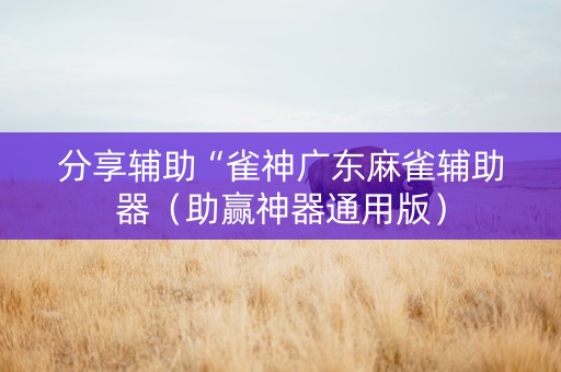 分享辅助“雀神广东麻雀辅助器（助赢神器通用版）