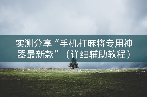 实测分享“手机打麻将专用神器最新款”（详细辅助教程）-哔哩哔哩