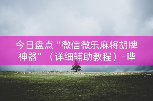 今日盘点“微信微乐麻将胡牌神器”（详细辅助教程）-哔哩哔哩