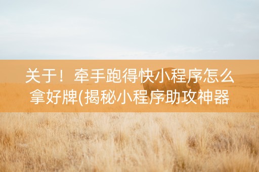 关于！牵手跑得快小程序怎么拿好牌(揭秘小程序助攻神器)