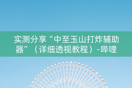 实测分享“中至玉山打炸辅助器”（详细透视教程）-哔哩哔哩
