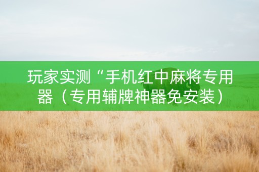 玩家实测“手机红中麻将专用器（专用辅牌神器免安装）