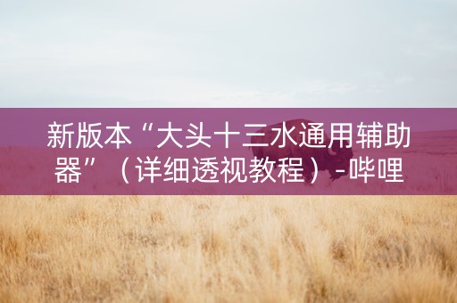 新版本“大头十三水通用辅助器”（详细透视教程）-哔哩哔哩