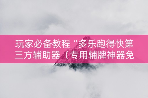 玩家必备教程“多乐跑得快第三方辅助器（专用辅牌神器免安装）