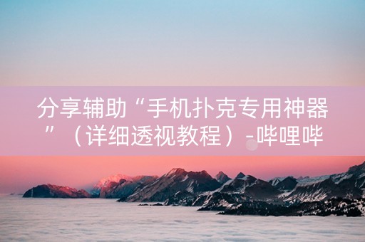 分享辅助“手机扑克专用神器”（详细透视教程）-哔哩哔哩