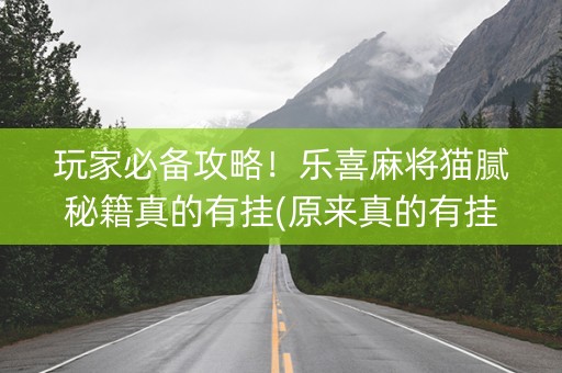 玩家必备攻略！乐喜麻将猫腻秘籍真的有挂(原来真的有挂)