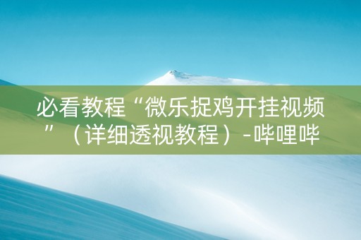 必看教程“微乐捉鸡开挂视频”（详细透视教程）-哔哩哔哩