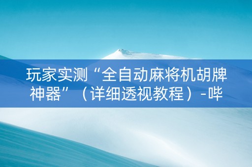 玩家实测“全自动麻将机胡牌神器”（详细透视教程）-哔哩哔哩