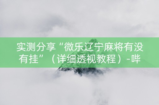 实测分享“微乐辽宁麻将有没有挂”（详细透视教程）-哔哩哔哩