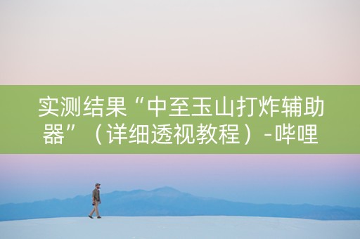 实测结果“中至玉山打炸辅助器”（详细透视教程）-哔哩哔哩