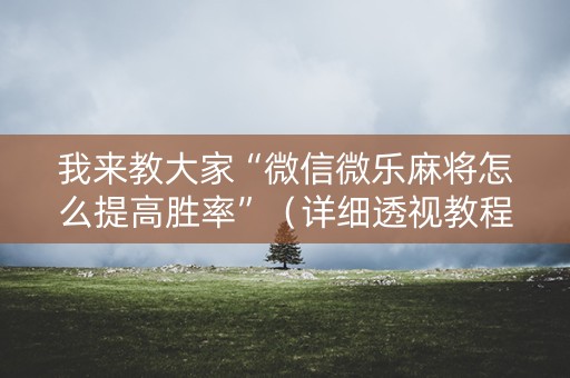 我来教大家“微信微乐麻将怎么提高胜率”（详细透视教程）-哔哩哔哩