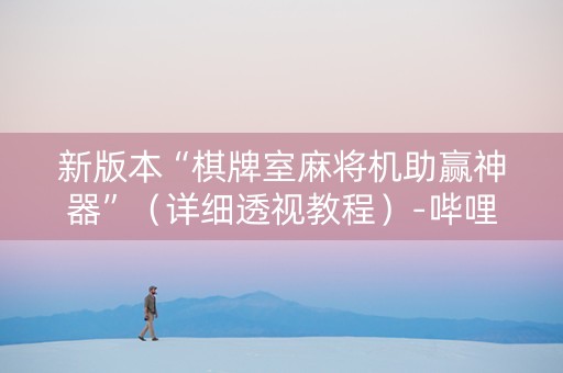新版本“棋牌室麻将机助赢神器”（详细透视教程）-哔哩哔哩