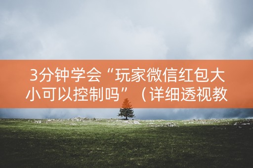 3分钟学会“玩家微信红包大小可以控制吗”（详细透视教程）-哔哩哔哩