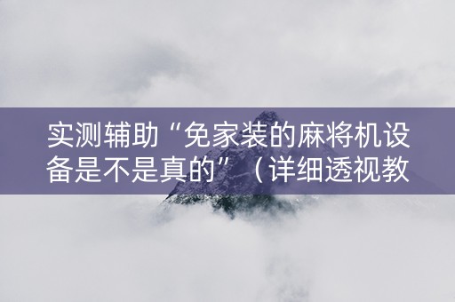 实测辅助“免家装的麻将机设备是不是真的”（详细透视教程）-哔哩哔哩