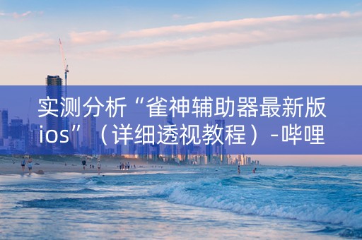 实测分析“雀神辅助器最新版ios”（详细透视教程）-哔哩哔哩