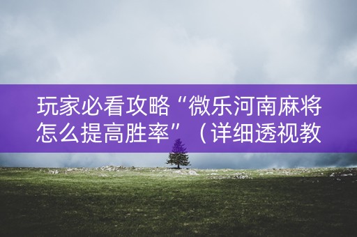 玩家必看攻略“微乐河南麻将怎么提高胜率”（详细透视教程）-哔哩哔哩
