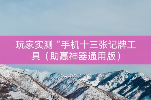 玩家实测“手机十三张记牌工具（助赢神器通用版）