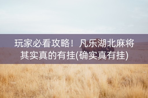 玩家必看攻略！凡乐湖北麻将其实真的有挂(确实真有挂)