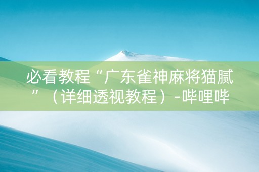 必看教程“广东雀神麻将猫腻”（详细透视教程）-哔哩哔哩
