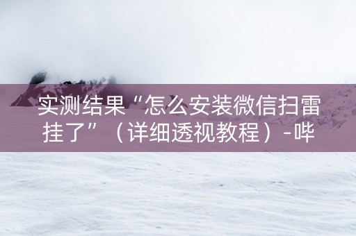 实测结果“怎么安装微信扫雷挂了”（详细透视教程）-哔哩哔哩
