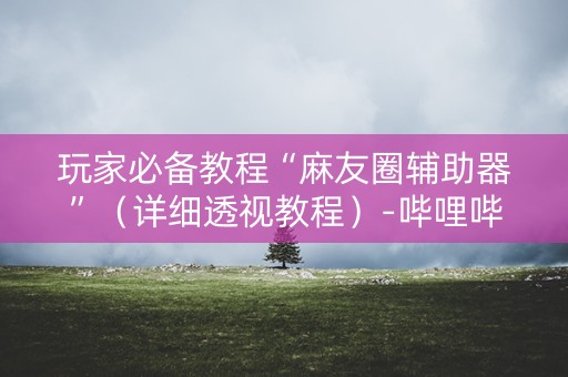 玩家必备教程“麻友圈辅助器”（详细透视教程）-哔哩哔哩