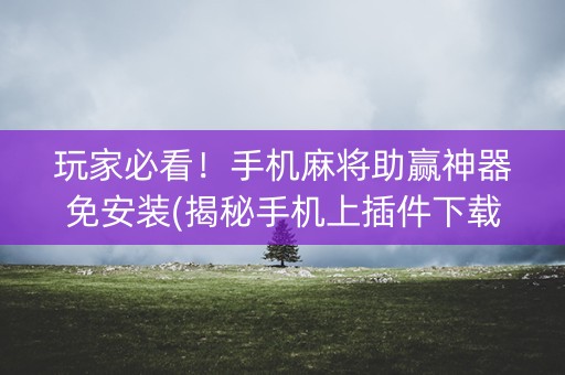 玩家必看！手机麻将助赢神器免安装(揭秘手机上插件下载)