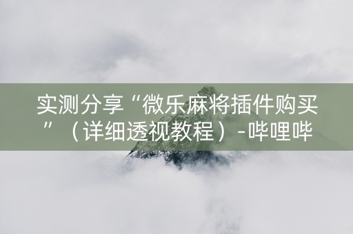 实测分享“微乐麻将插件购买”（详细透视教程）-哔哩哔哩