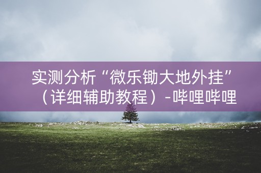 实测分析“微乐锄大地外挂”（详细辅助教程）-哔哩哔哩