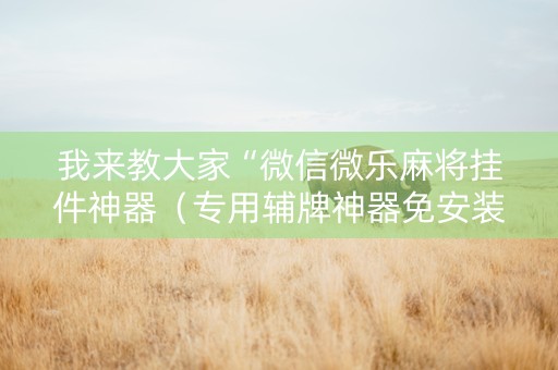 我来教大家“微信微乐麻将挂件神器（专用辅牌神器免安装）