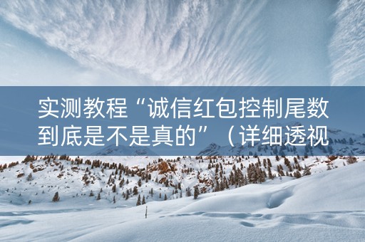 实测教程“诚信红包控制尾数到底是不是真的”（详细透视教程）-哔哩哔哩