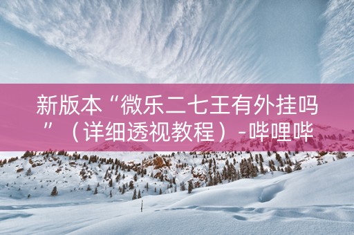 新版本“微乐二七王有外挂吗”（详细透视教程）-哔哩哔哩