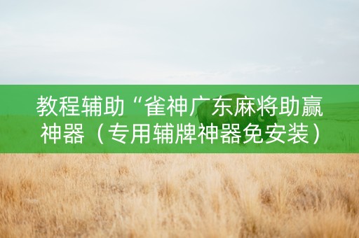 教程辅助“雀神广东麻将助赢神器（专用辅牌神器免安装）