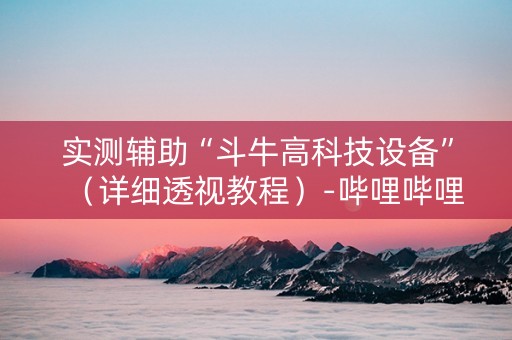 实测辅助“斗牛高科技设备”（详细透视教程）-哔哩哔哩